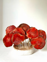 Cargar imagen en el visor de la galería, AGATREE Red Corale 16 pieces