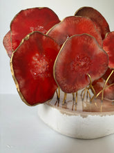 Cargar imagen en el visor de la galería, AGATREE Red Corale 16 pieces