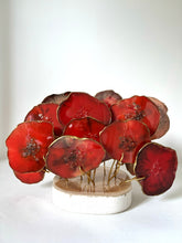 Cargar imagen en el visor de la galería, AGATREE Red Corale 16 pieces