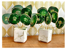 Cargar imagen en el visor de la galería, AGATREE musgo 8 pieces