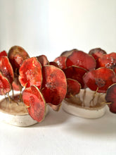 Cargar imagen en el visor de la galería, AGATREE Red Corale 16 pieces