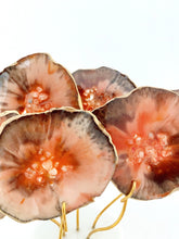 Cargar imagen en el visor de la galería, AGATREE Corale 6 pieces