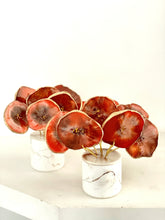 Cargar imagen en el visor de la galería, AGATREE Teja 8 pieces {pre ~ order}