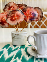 Cargar imagen en el visor de la galería, AGATREE Corale 6 pieces