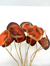 Cargar imagen en el visor de la galería, AGATREE Orange Corale 11 pieces