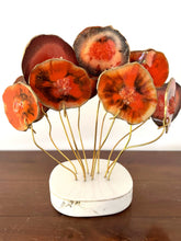 Cargar imagen en el visor de la galería, AGATREE Orange Corale 11 pieces