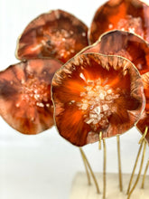 Cargar imagen en el visor de la galería, AGATREE Red Fox