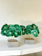 Cargar imagen en el visor de la galería, AGATREE verde hoja seca &amp; grey concrete cube